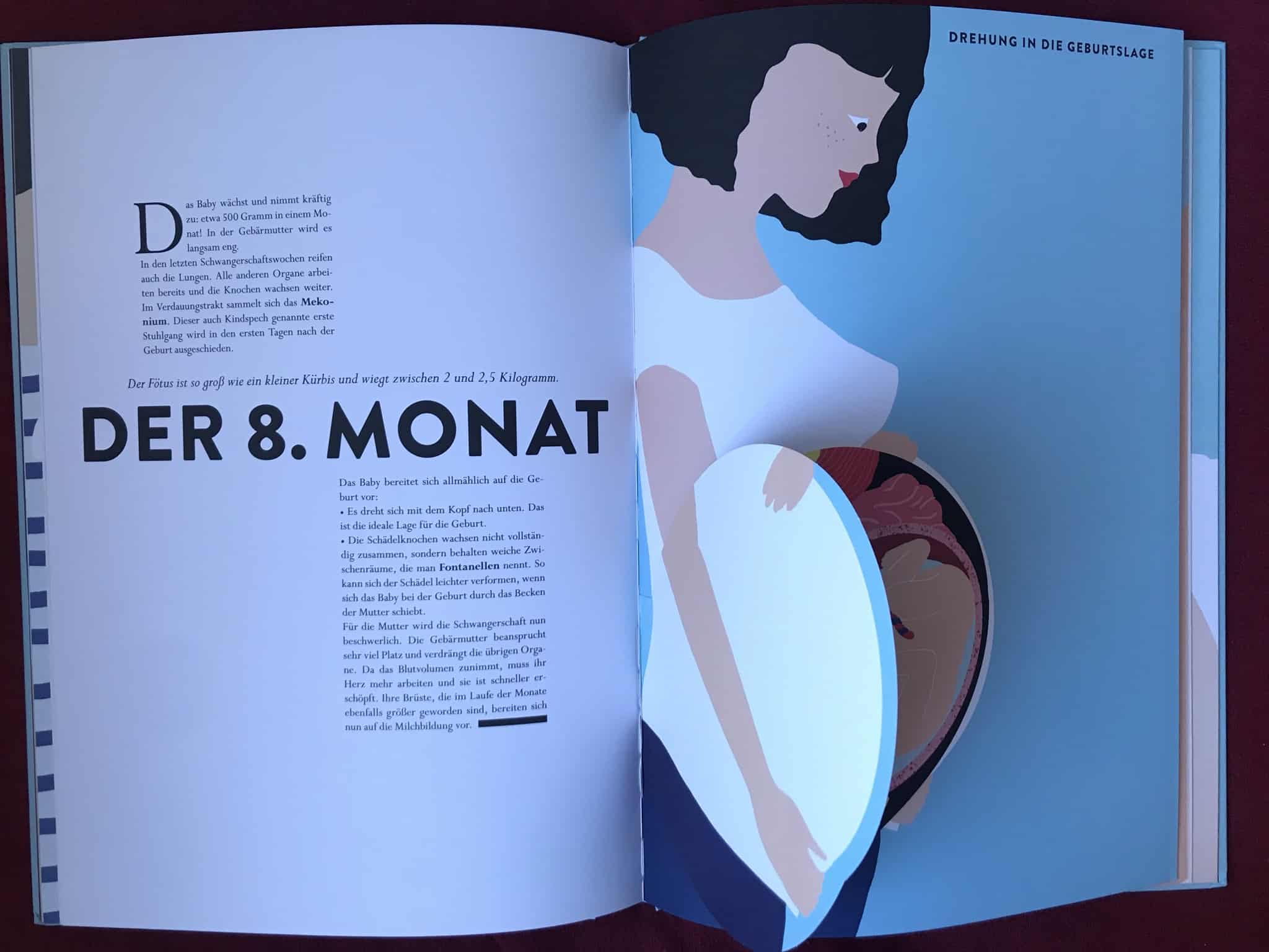 Abb. 1 & 2: "Der zweite Monat" & "Der 8. Monat": "Ein neues Leben entsteht" besticht durch filigrane Stanzungen und viele Klappen.