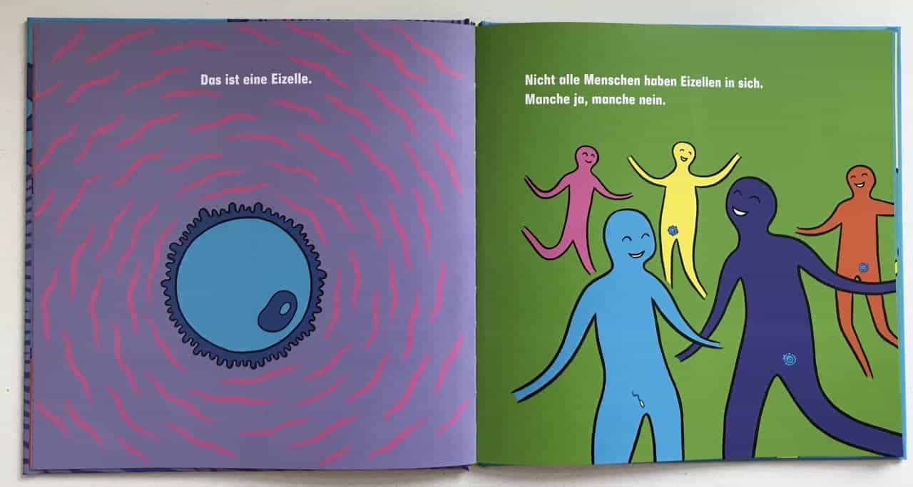 Wie entsteht ein Baby Abb 2