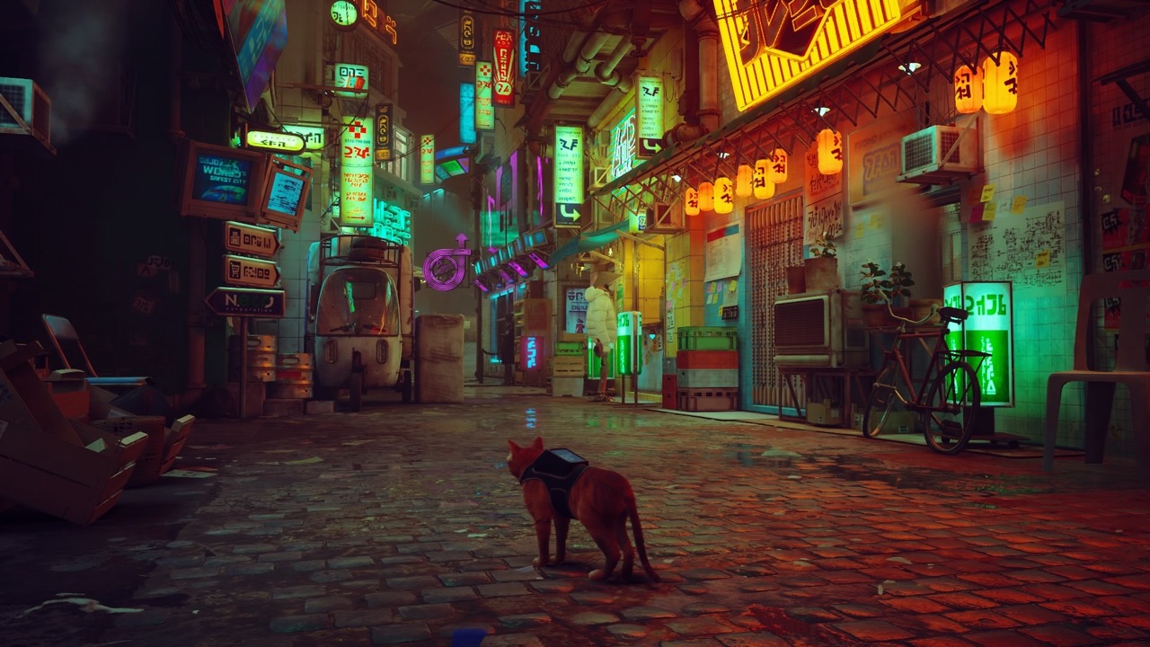 Bluetwelve Studio Stray abb 2