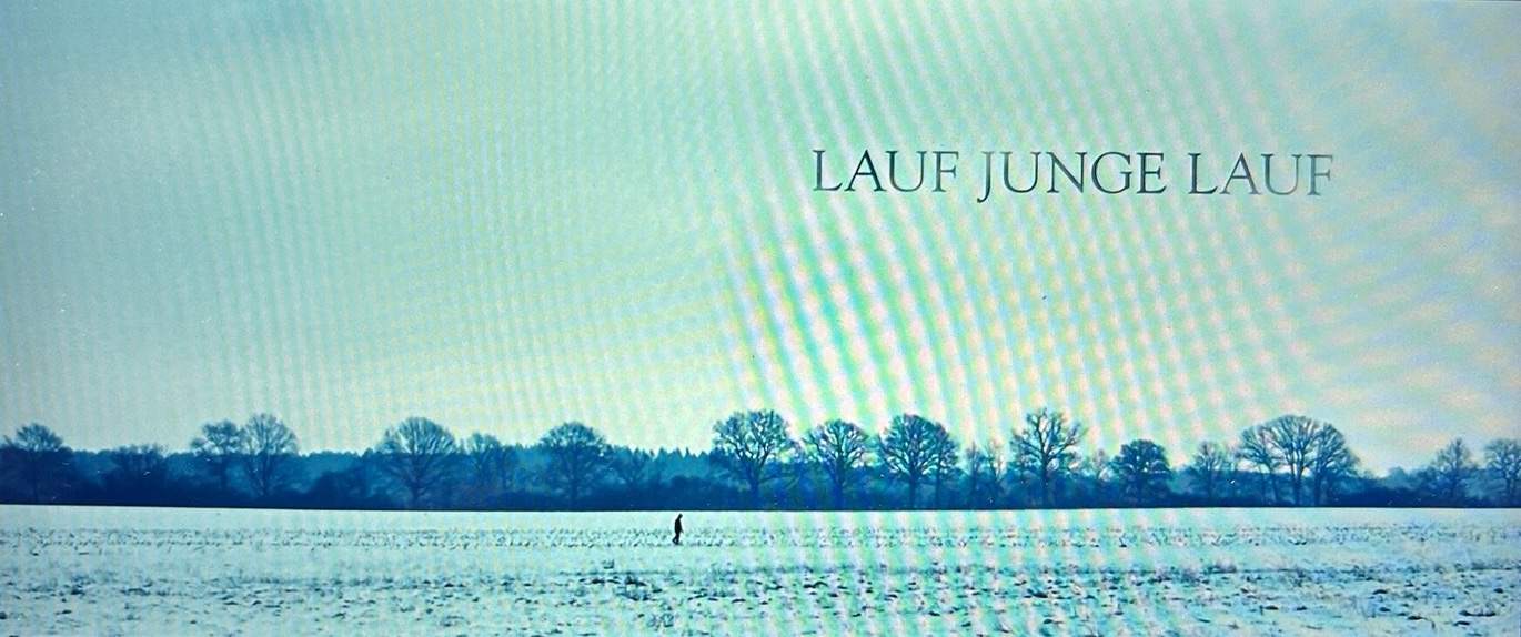 Abb. 7: … bevor er wieder durch die Kälte marschiert. (2013 © Bittersuess)