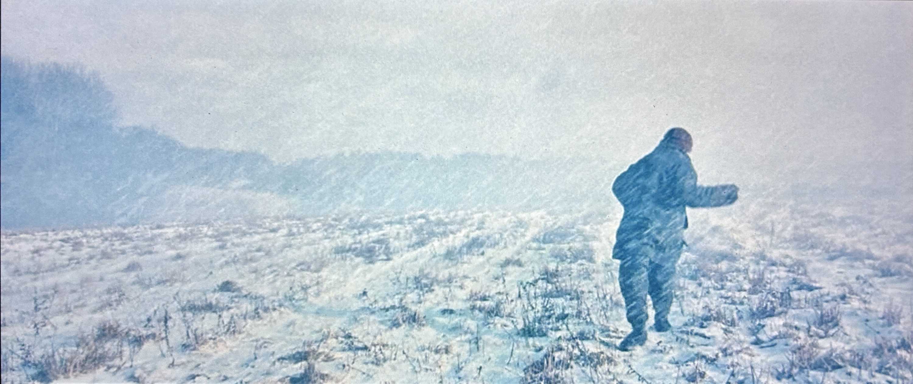 Abb. 8: Der Schneesturm bringt Srulik an den Rand der Erschöpfung. (2013 © Bittersuess)