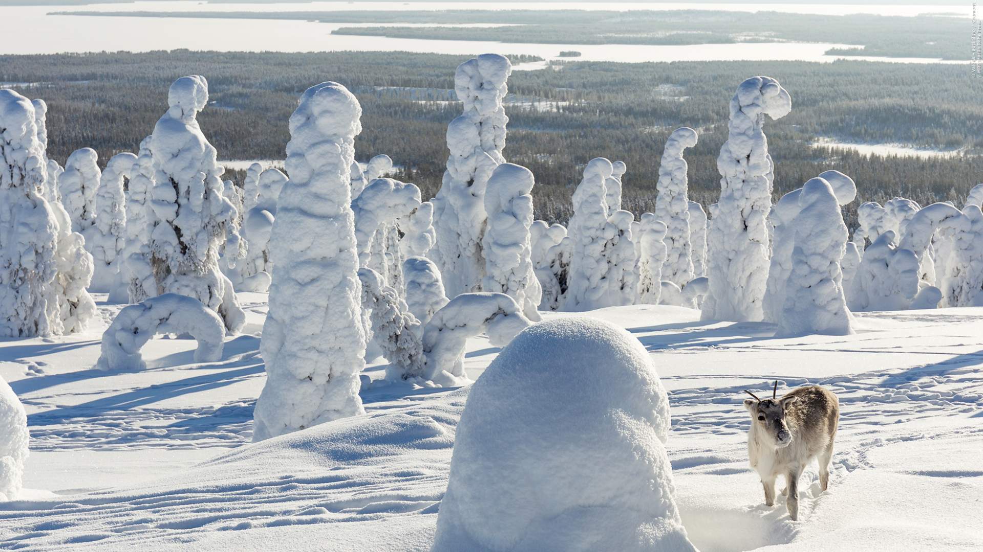 Abb. 1: Screenshot aus Ailos Reise (2019). Verleih: Ascot Elite.