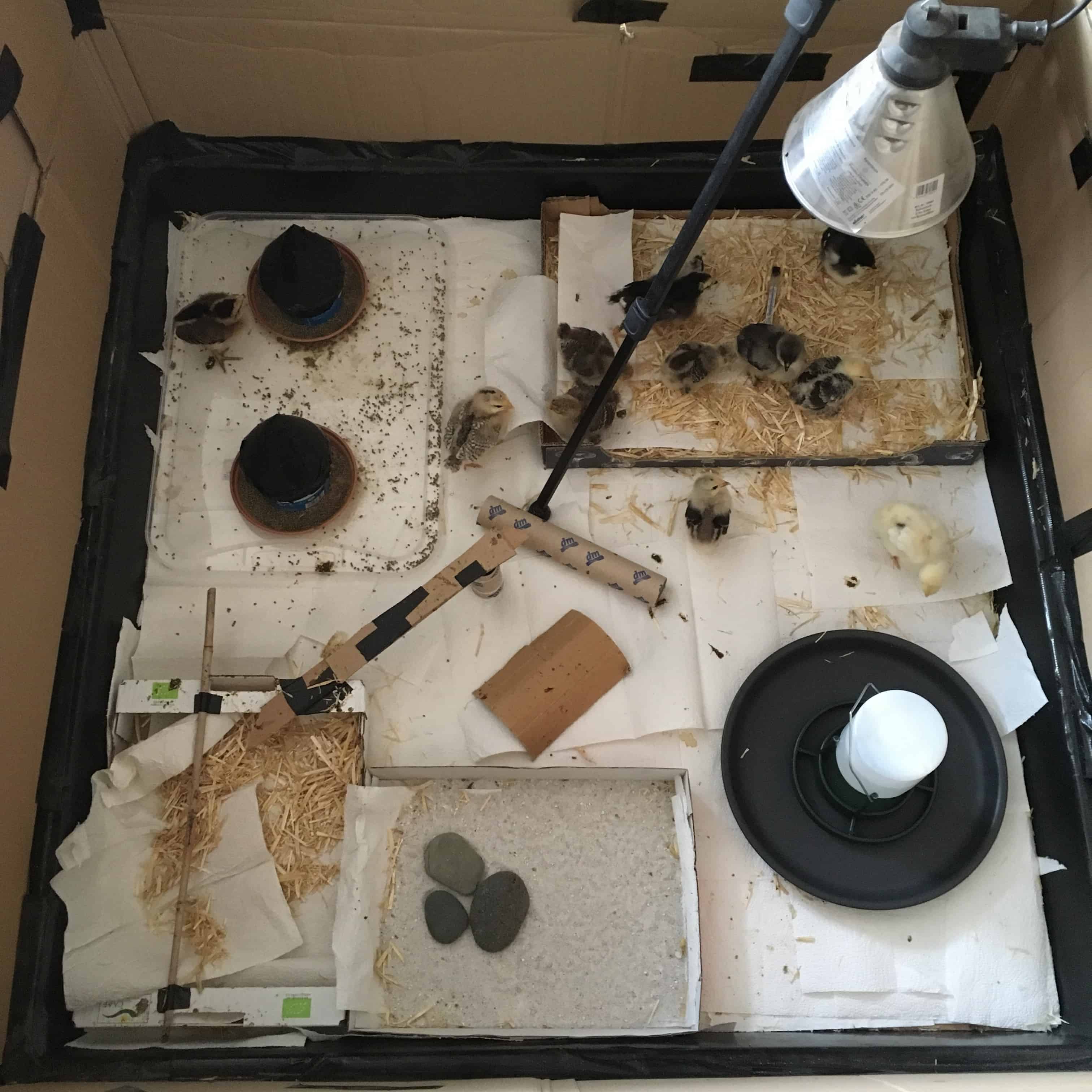 Zeichenkasten von Sebastian Meschenmoser, (c) Sebastian Meschenmoser