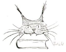 Der Luchs des Jahres 2024 geht an Michèle Fischels und Eva Rottmann